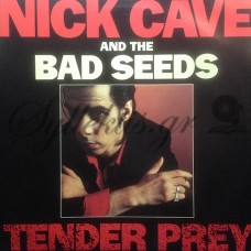 Nick Cave And The Bad Seeds - Tender Prey