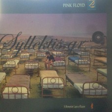 Pink Floyd ‎– A Momentary Lapse Of Reason